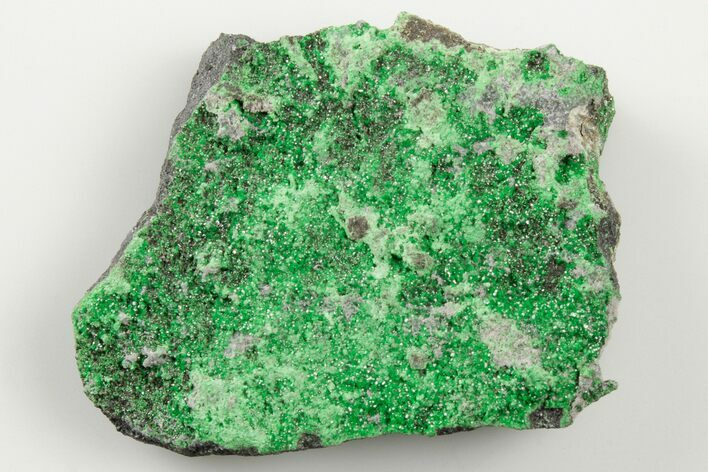 Green Uvarovite (Garnet Group) Cluster - Russia #195633